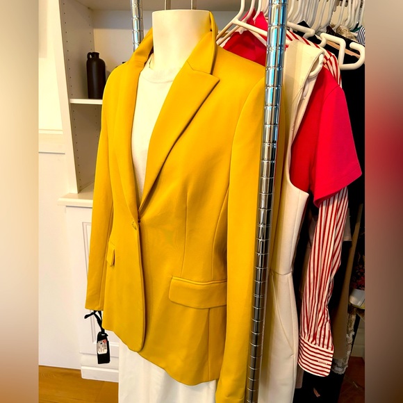 Pinko Blazer - Picture 2 of 5